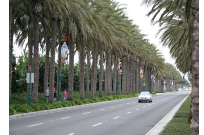 Katella Avenue, Anaheim